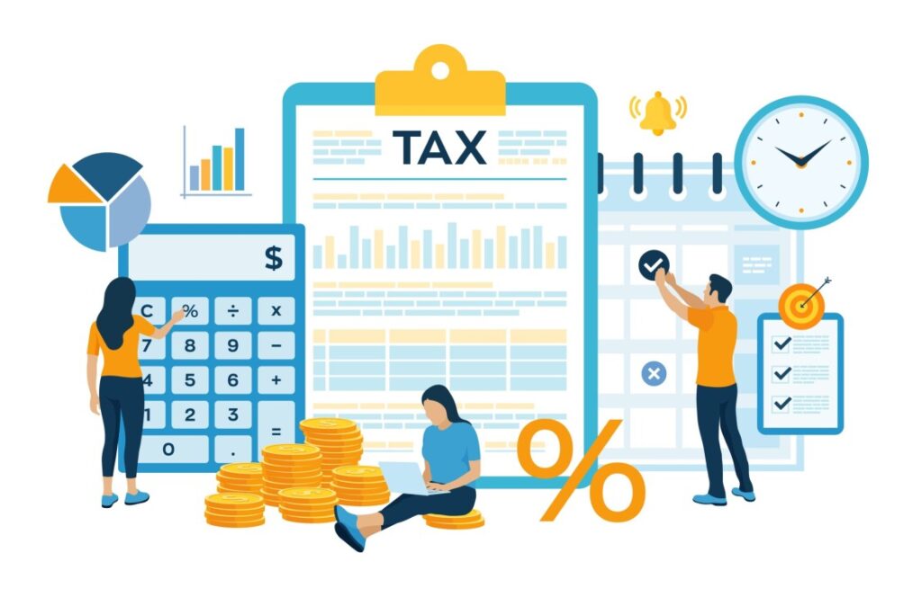 VAT Auditing Services