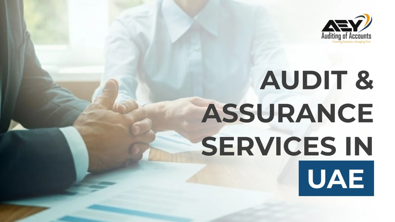 Audit & Assurance Services UAE