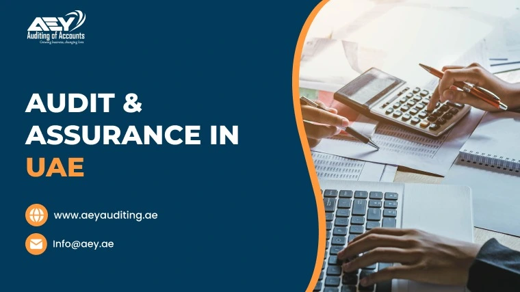 Audit & Assurance