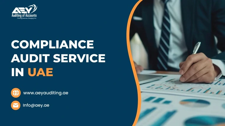 Business professional reviewing compliance audit reports and financial charts for UAE companies