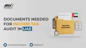 Documents Needed for Income Tax Audit in UAE