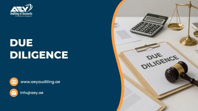 Due Diligence
