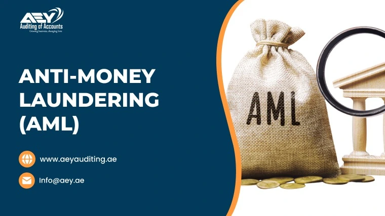 Expert Anti Money Laundering AML Services in UAE