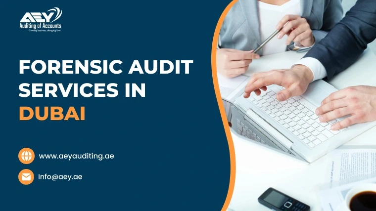 Expert Forensic Audit Services UAE