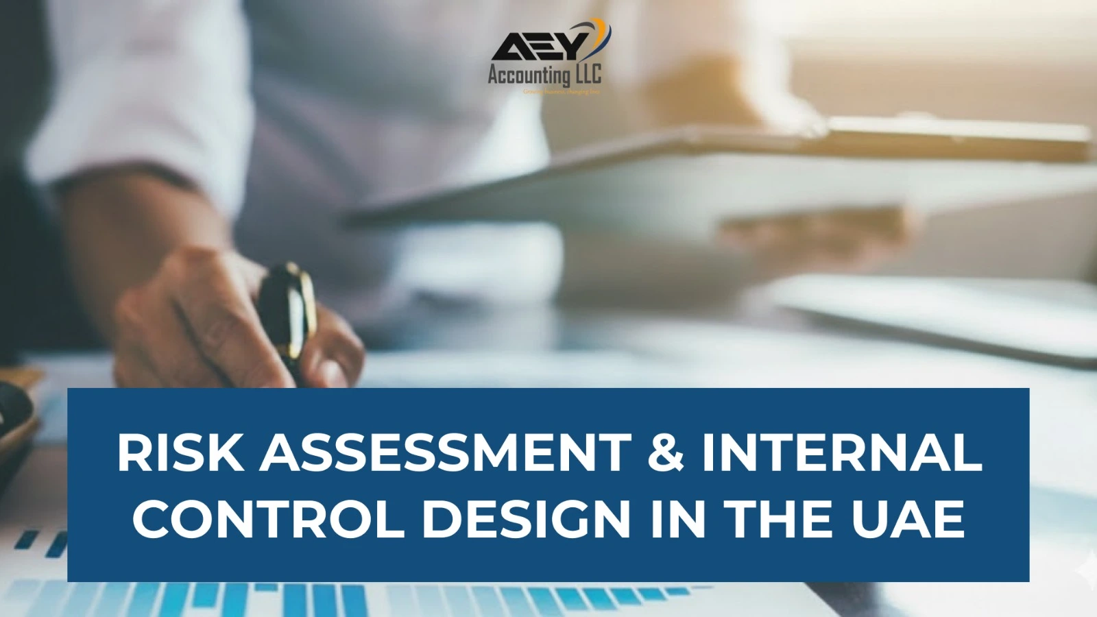 Risk Assessment & Internal Control