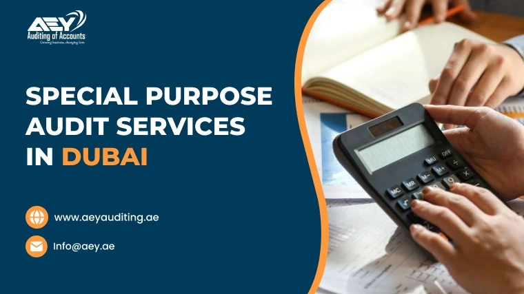 Special Purpose Audit UAE